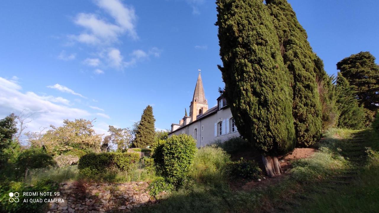 L'Angeline Bed & Breakfast Gennes-Val-de-Loire ภายนอก รูปภาพ